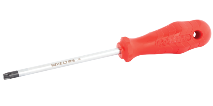 Torx® Uçlu Tornavida -  10